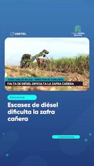 Escasez de diésel dificulta la zafra cañera