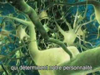 What the bleep do we know ! - partie 4/7