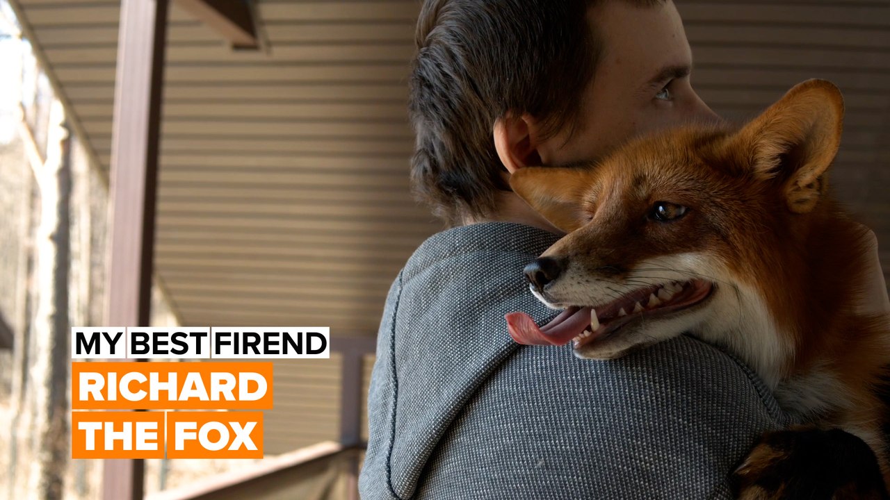 My best friend: It's not a dog or a cat, it's a fox