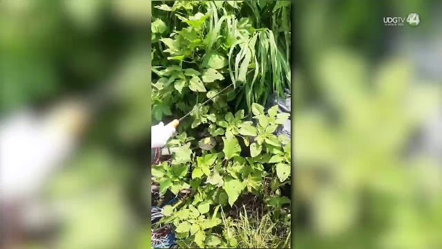 Localizan un horno crematorio clandestino y varias bolsas con restos humanos cerca del Aeropuerto