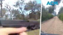 Footage from Wieambilla shows cop's dramatic escape under gunfire