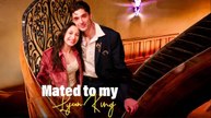 Mated to My Lycan King Full Movie