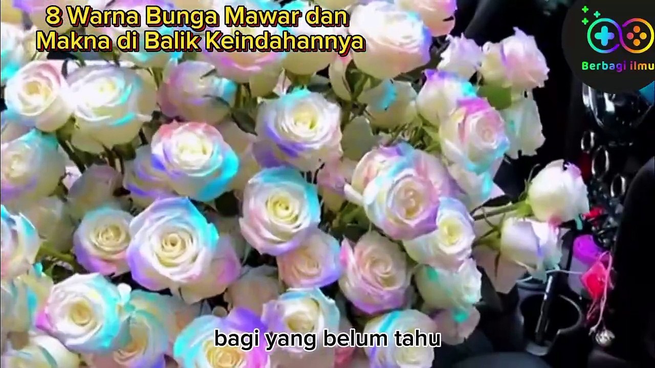 8 Warna Mawar