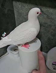 Amazing A soap box in the shape of a dove