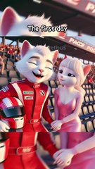 Cat's Fast and Furious- Race for Love! #cat #racing #cute #emotional #story #car