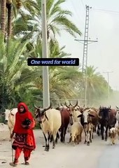 One word for this world | poor people in the world