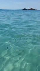 LES PLUS BEAUX SPOTS baignades du Sud de la France