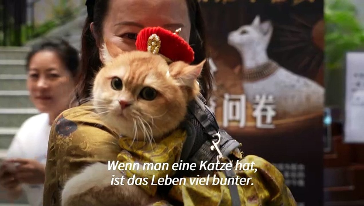 Mit der Katze ins Museum