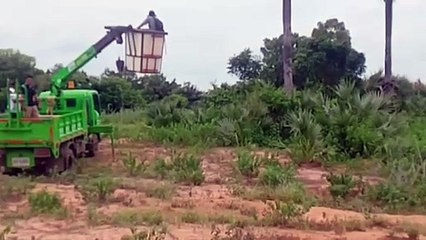 นาทีตีวงล้อม จับ "หมีควาย" ออกป่าดงใหญ่มาหากิน ใกล้สระน้ำ ม.ราชภัฏ