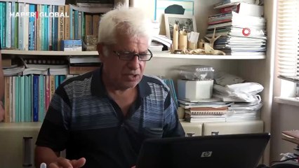 Domuz balığını besleyen profesör, ani saldırıyla neye uğradığını şaşırdı: "Çağırdığımızda geliyor"