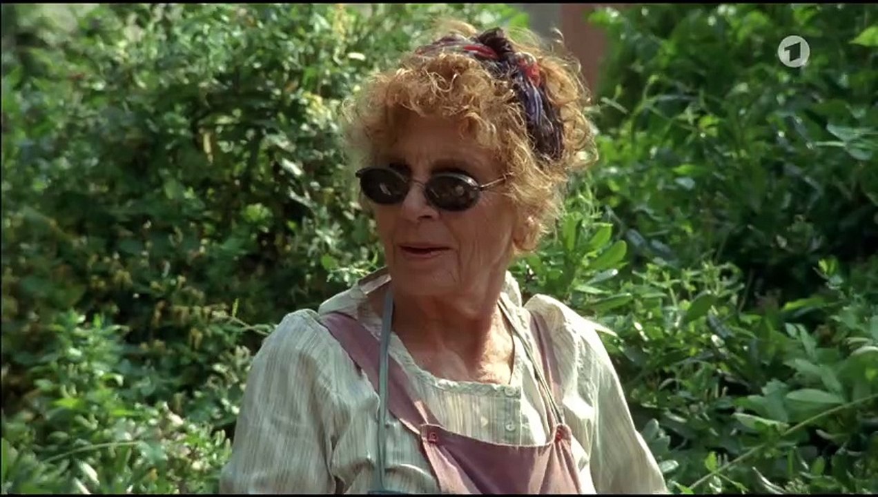 Donna Leon: Wie durch ein dunkles Glas