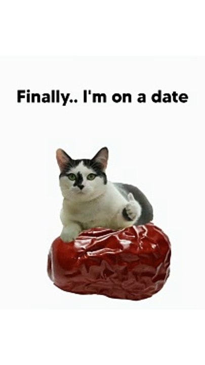 Meme #meme #memezar #date