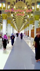 Islamic video peace channel