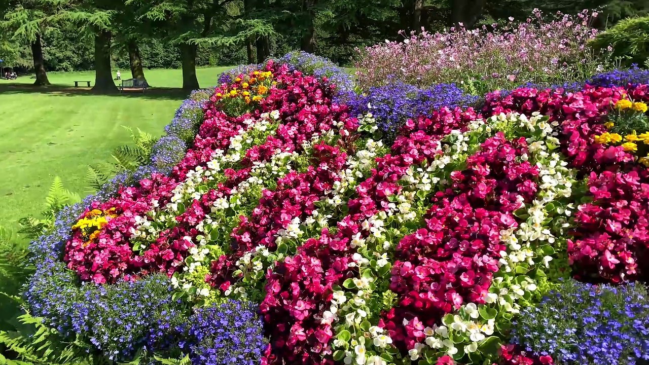 Forres in Bloom