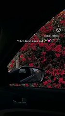 Beautiful song with melodious voice and amazing background 