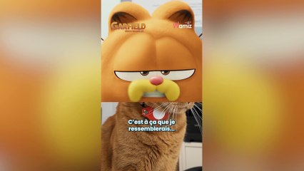 Chats : comment s’imposer dans votre maison par Garfield