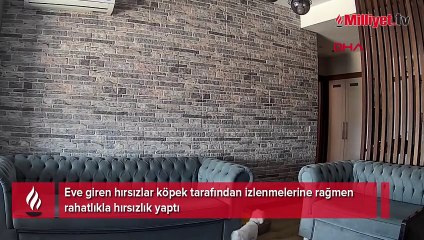 Bahçeşehir'de eve hırsız girdi; şüphelileri izleyen köpek gülümsetti