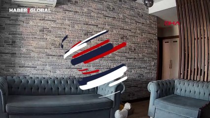 Hırsızları gören köpek oralı bile olmadı: Bahçeşehir'de ilginç görüntüler