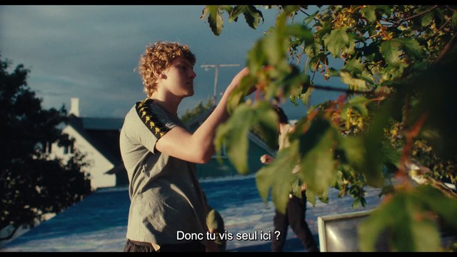 Les Belles Créatures Bande-annonce VO STFR