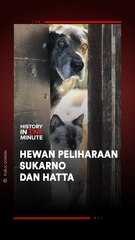 Kisah Menarik Hewan Peliharaan Presiden Sukarno dan Hatta 🐾