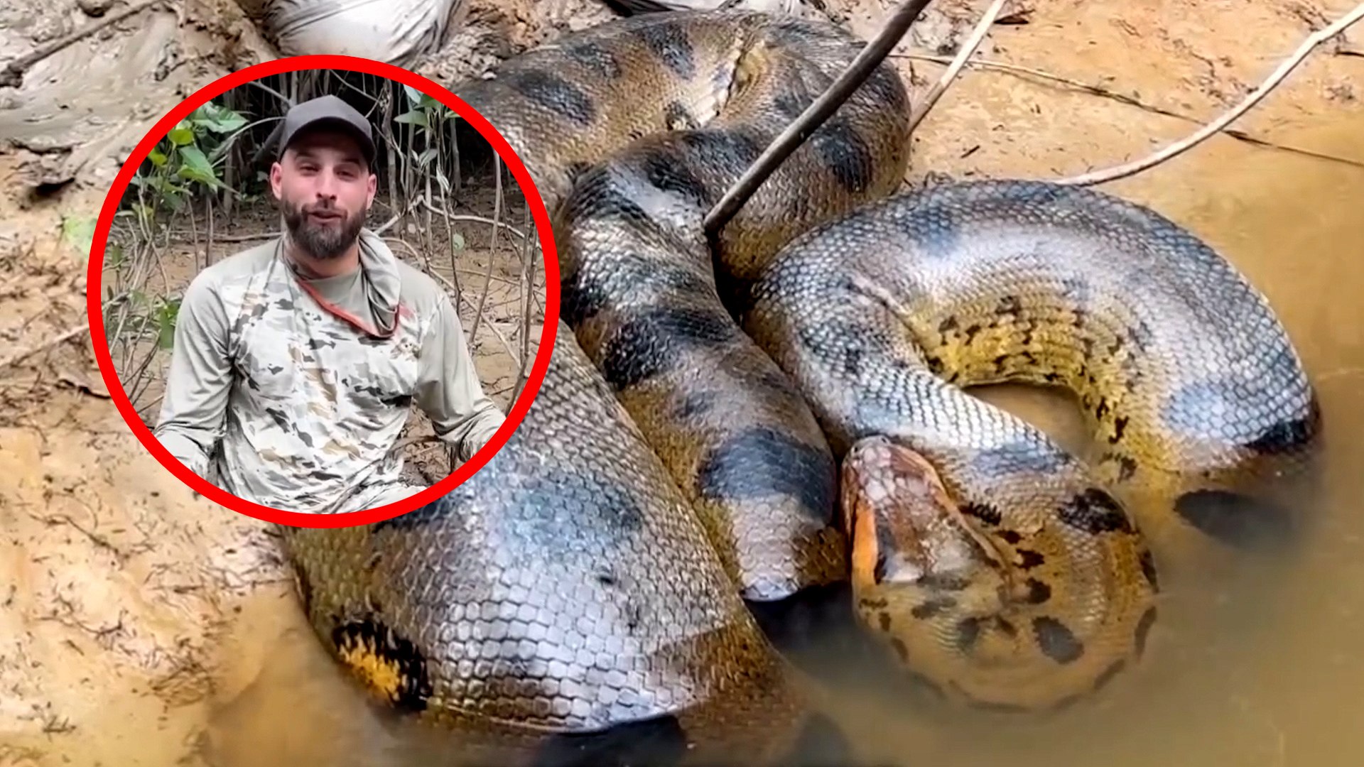 Un veterinario se adentra en el Amazonas y se encuentra cara a cara con la  segunda serpiente más grande del mundo, image size:1920x1080