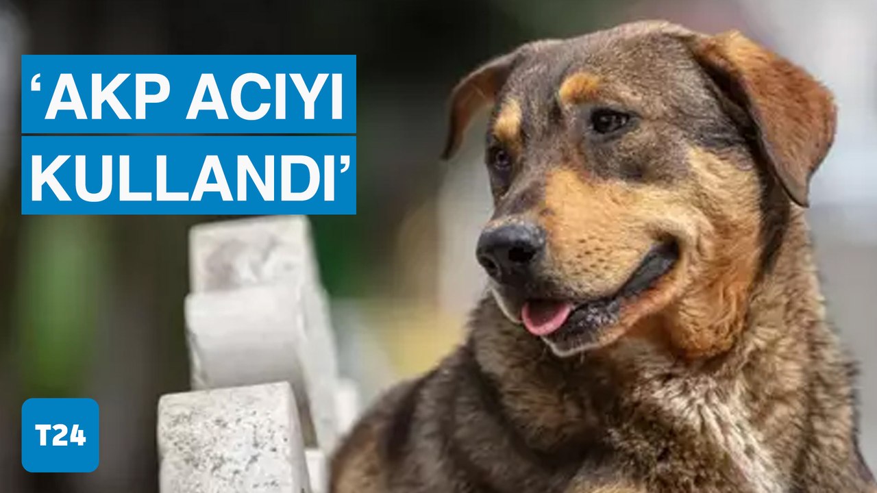 Sera Kadıgil: Dindarız diye iktidarda duranları hayvan öldürmenin günah olduğuna ikna etmeye çalışıyoruz!