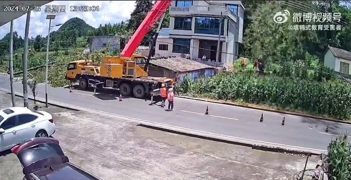 Une grue ne fait pas le poids face à un arbre