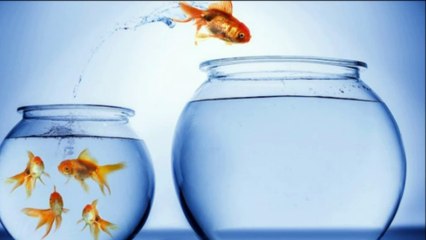 Reconquête amoureuse - 5 clés pour rester motivé