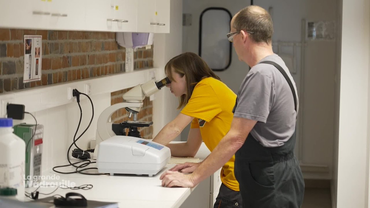 Tout l’été, suivez les aventures d’Alessia et Quentin, duo à la découverte de la Wallonie. Ce mardi, ils ont de nouveau fait halte en Wallonie picarde et ont découvert la plus ancienne brasserie de Wallonie.