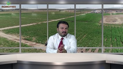 Türkiye'de Tarımda İşçi Sorunu var mı?