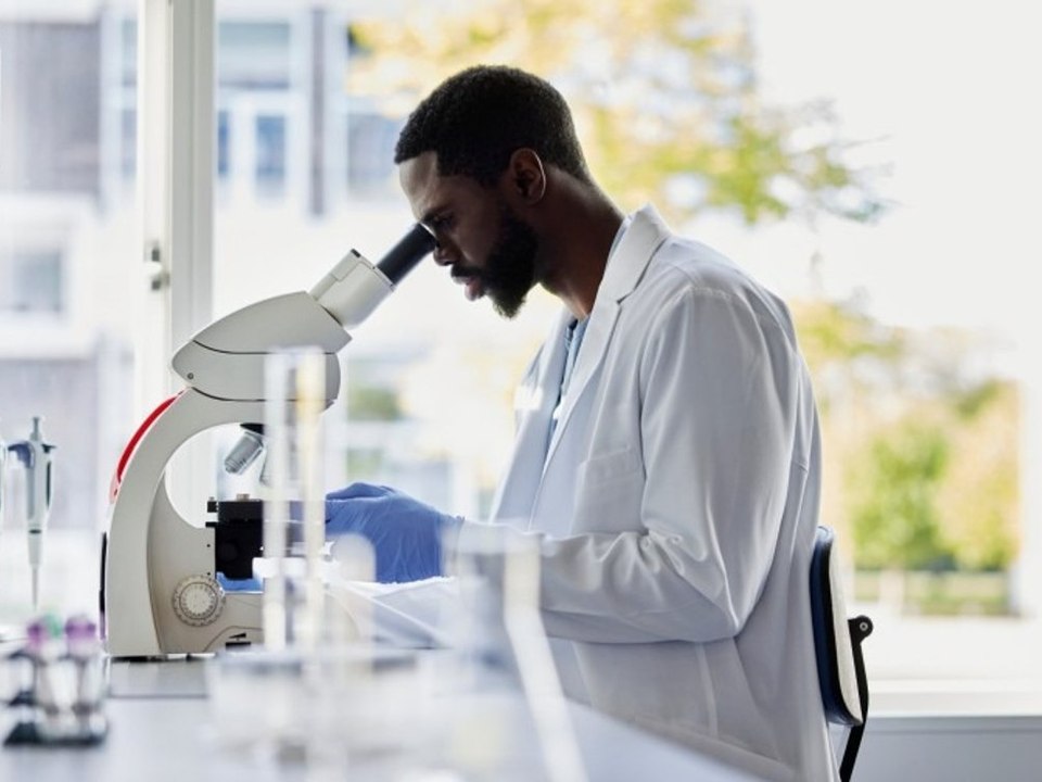 Bahnbrechende entdeckung: bakterium "schmilzt" krebszellen