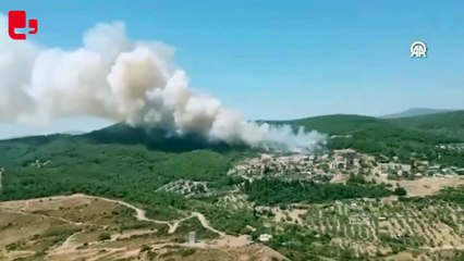 Urla ilçesinde çıkan orman yangınına müdahale ediliyor
