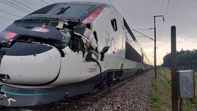 Un TGV percute un arbre sur la ligne Paris-Lyon, le trafic paralysé