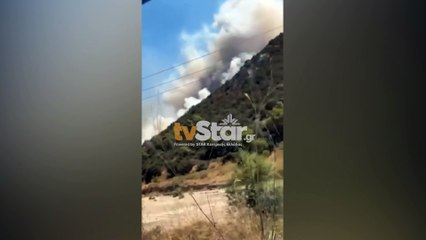 Φωτιά στον Πισσώνα, πευκοδάσος της Κεντρικής Εύβοιας