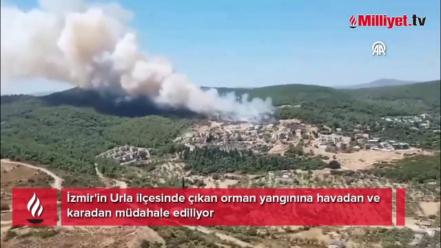 Urla'da orman yangını: Bölgede evler tahliye edildi, çadırda kalanlar botlarla uzaklaştırıldı
