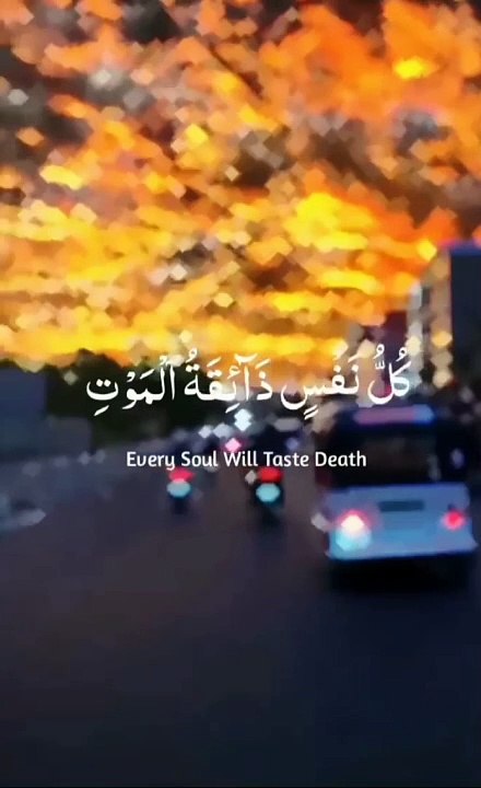 Quran Pak Amazing Video   viral shorts islamicshorts_Relaxing beautiful qirat ❤️ #relaxing #islam#trendingshorts #shorts #kaaba #