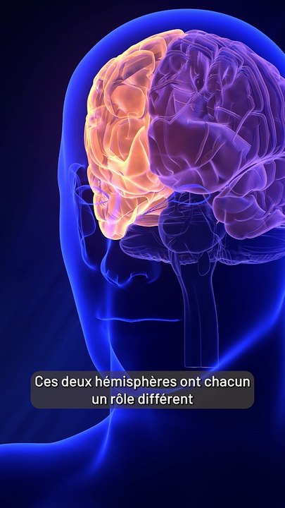 Les gauchers sont plus intelligents ?!