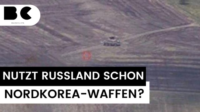 Ukraine: Russisches Militär nutzt Bulsae-4-System aus Nordkorea