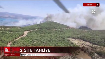 İzmir Urla'da orman yangını çıktı