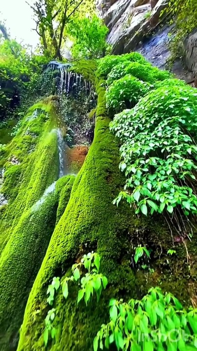 Water fall#