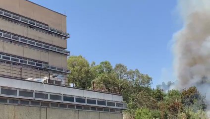 Télécharger la video: Roma, vasto incendio e colonna di fumo alle spalle della Città giudiziaria - Video