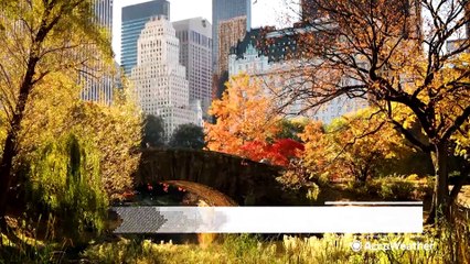 AccuWeather's long-range experts forecast warm fall for the United States