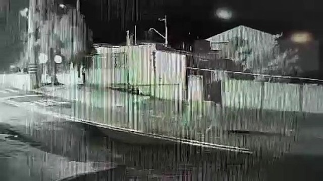 Cavalos soltos são flagrados por câmera de segurança no Brasmadeira