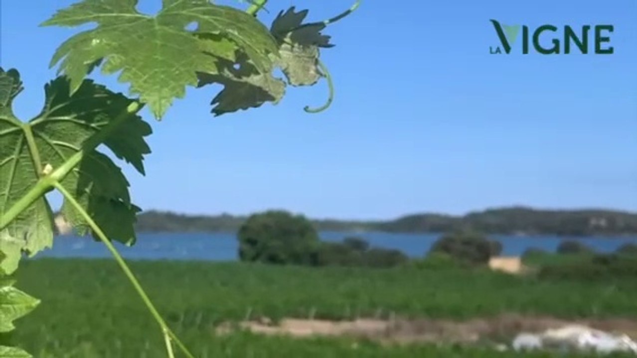 La Vigne visite le domaine Terra Vecchia pour la rubrique Bien Chai Moi