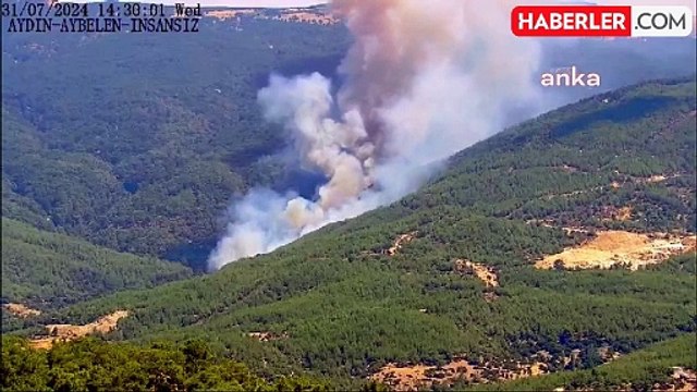 Aydın'ın Çine ilçesinde ormanlık alanda yangın çıktı