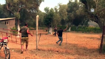 İzmir'in Urla'da orman yangını: 2 site tahliye edildi