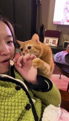 Where's My Chips, Give Me My Chips