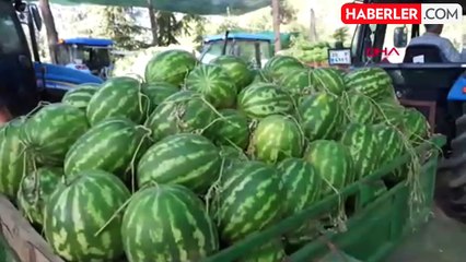 Denizli Büyükşehir Belediyesi Üreticilerin Karpuzlarını İhtiyaç Sahiplerine Dağıtacak