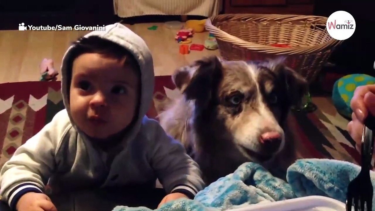 Baby soll „Mama' sagen, doch plötzlich tut der Schäferhund das Unfassbare (Video)