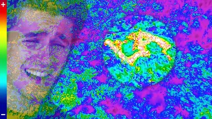 Survived A Plane Crash